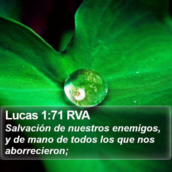 Lucas 1:71 RVA Bible Study