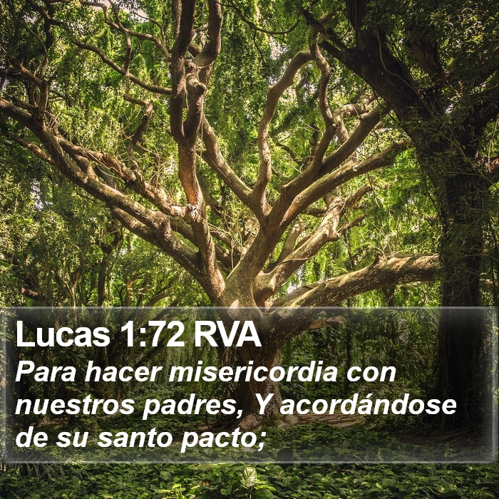 Lucas 1:72 RVA Bible Study