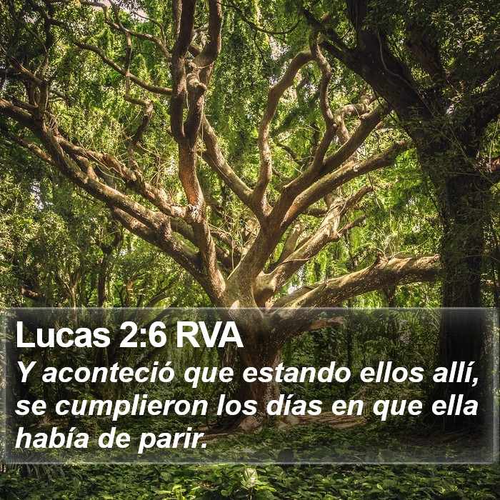 Lucas 2:6 RVA Bible Study