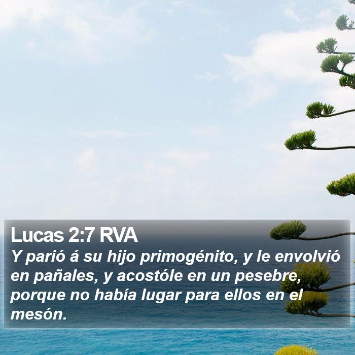 Lucas 2:7 RVA Bible Study