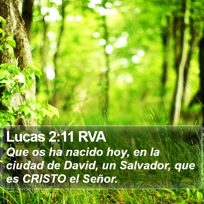 Lucas 2:11 RVA Bible Study