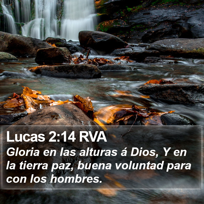 Lucas 2:14 RVA Bible Study