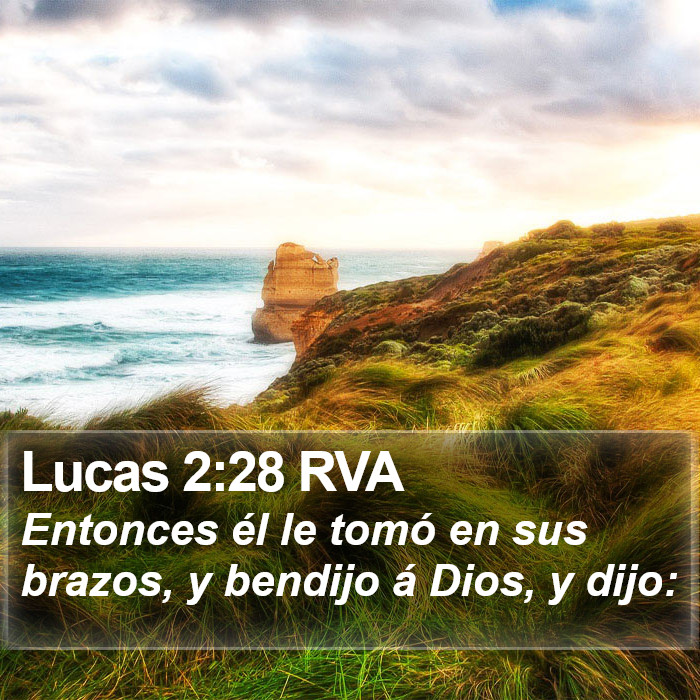 Lucas 2:28 RVA Bible Study