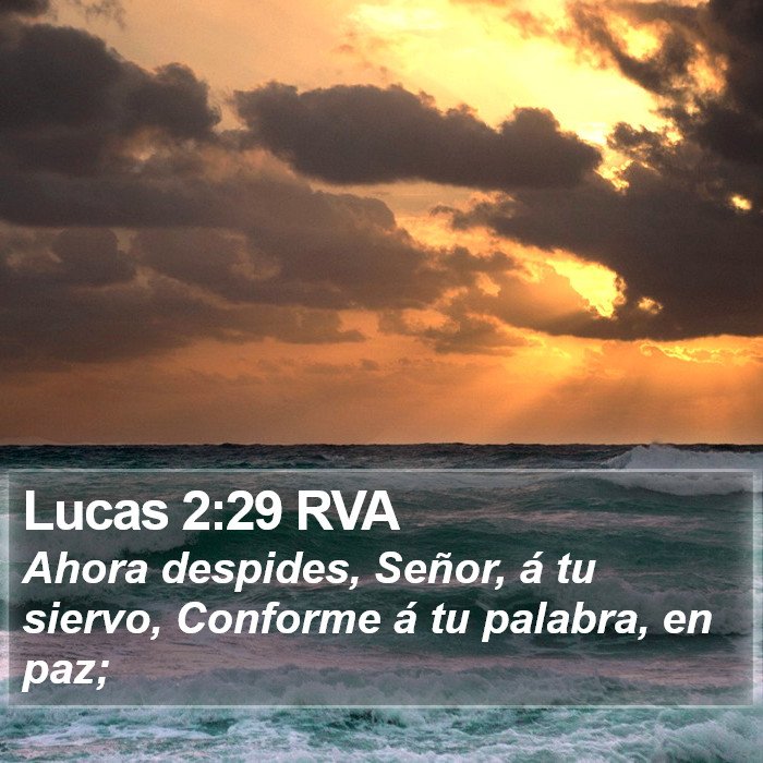 Lucas 2:29 RVA Bible Study