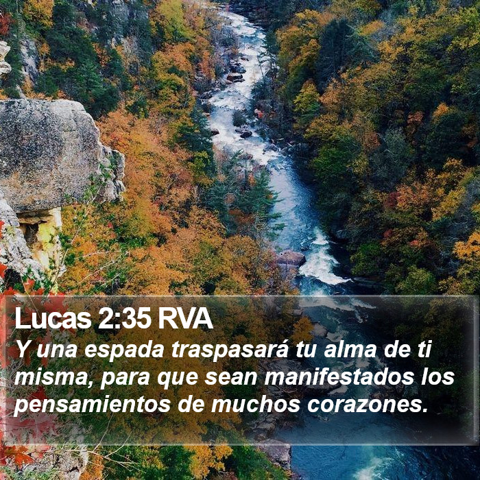 Lucas 2:35 RVA Bible Study