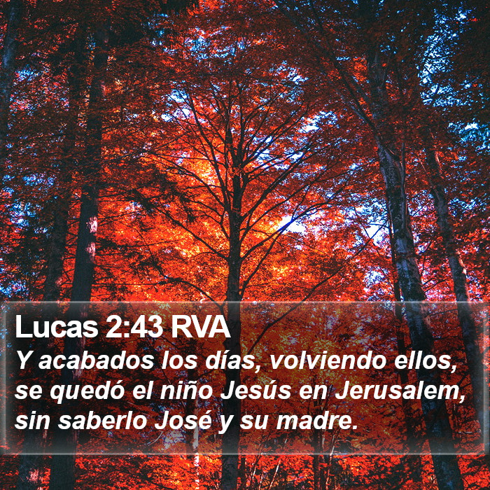 Lucas 2:43 RVA Bible Study