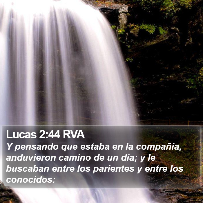 Lucas 2:44 RVA Bible Study