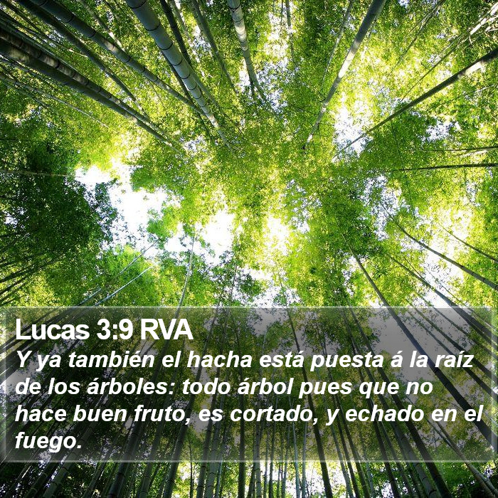 Lucas 3:9 RVA Bible Study