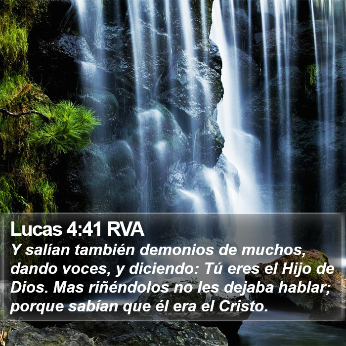 Lucas 4:41 RVA Bible Study