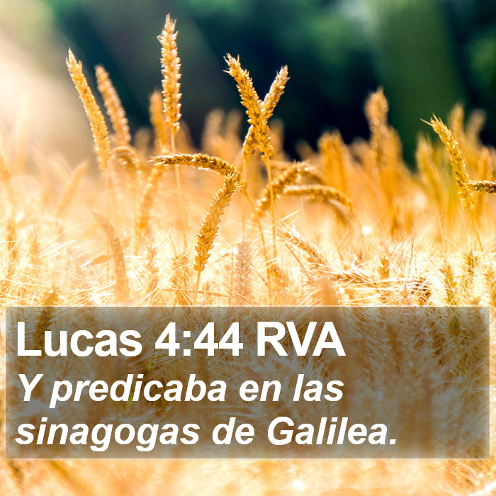 Lucas 4:44 RVA Bible Study