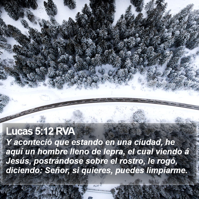 Lucas 5:12 RVA Bible Study