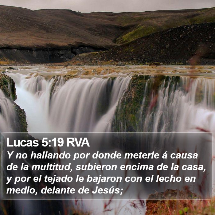 Lucas 5:19 RVA Bible Study