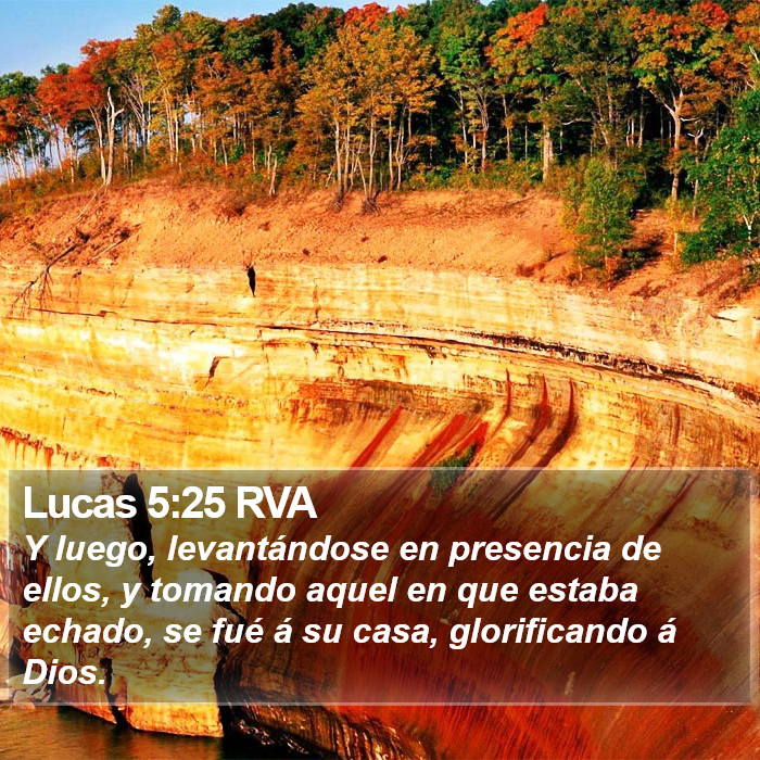 Lucas 5:25 RVA Bible Study