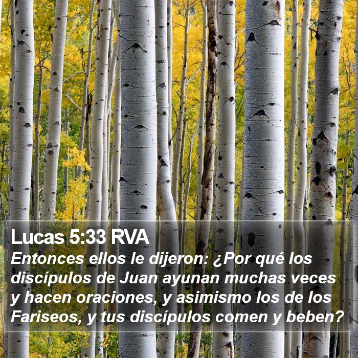 Lucas 5:33 RVA Bible Study