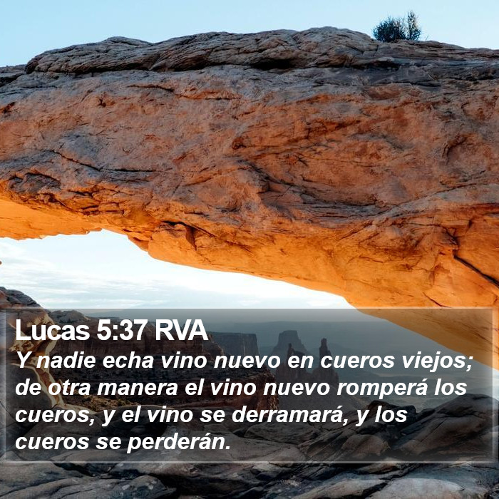 Lucas 5:37 RVA Bible Study