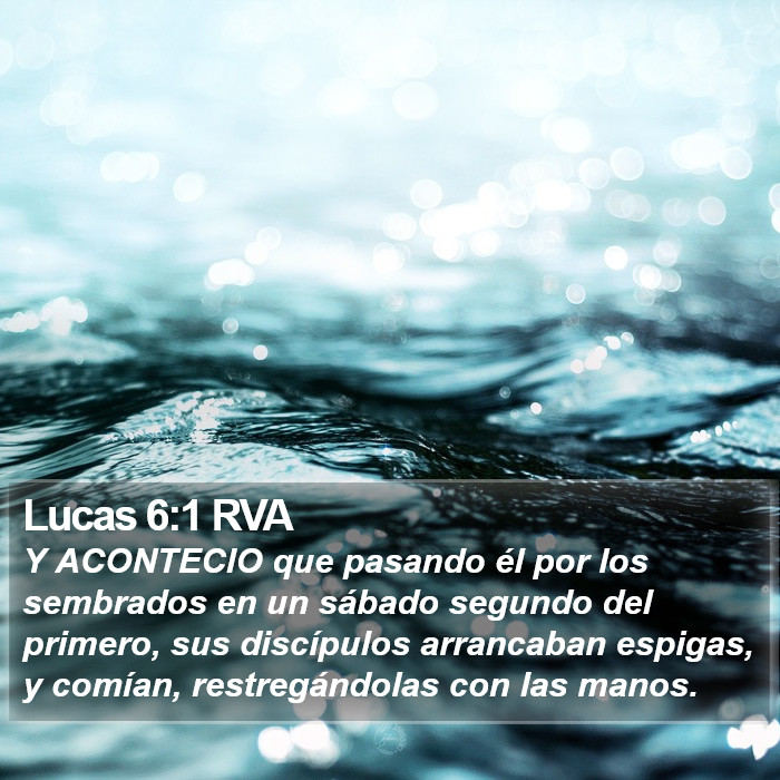 Lucas 6:1 RVA Bible Study