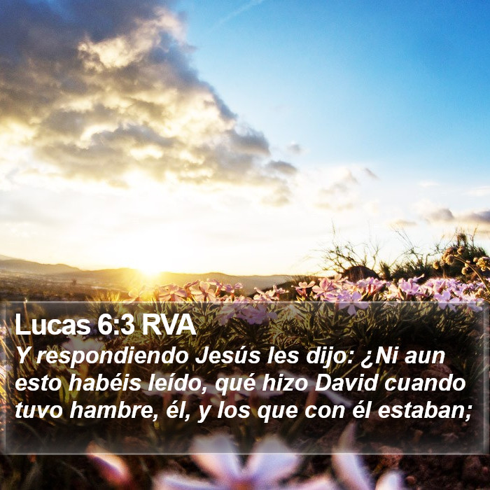 Lucas 6:3 RVA Bible Study