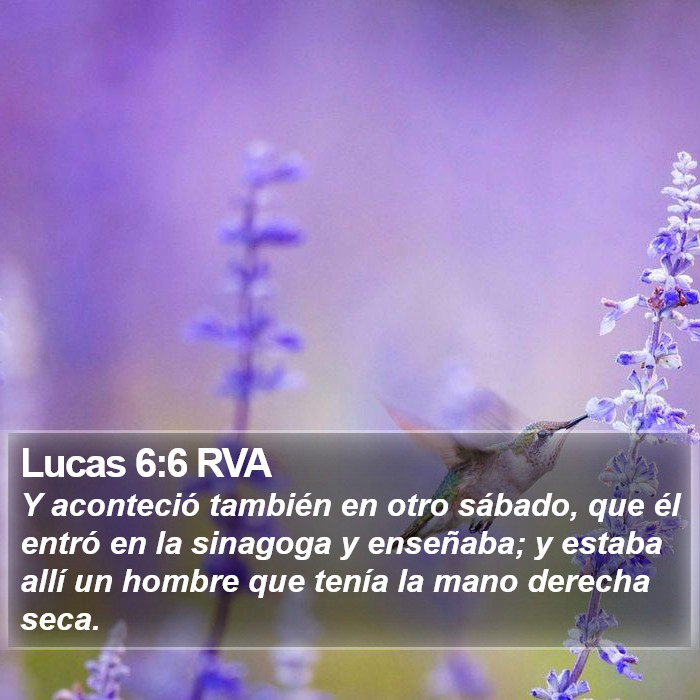 Lucas 6:6 RVA Bible Study