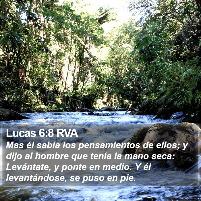 Lucas 6:8 RVA Bible Study