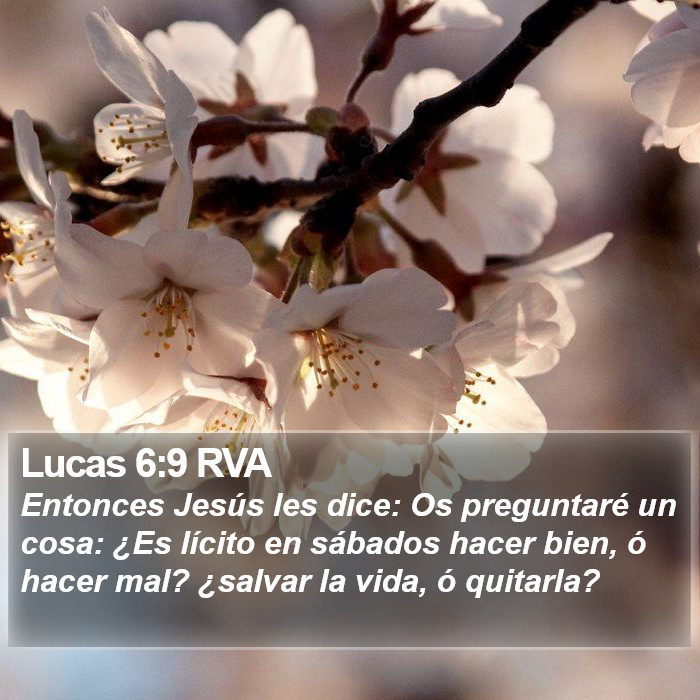 Lucas 6:9 RVA Bible Study