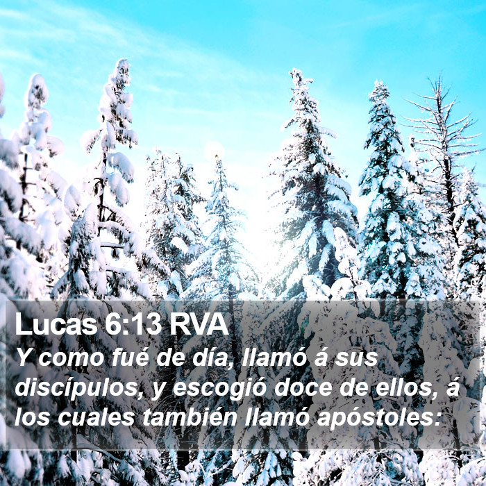 Lucas 6:13 RVA Bible Study