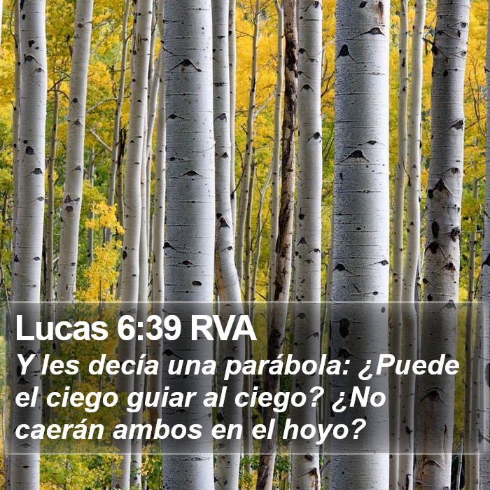 Lucas 6:39 RVA Bible Study