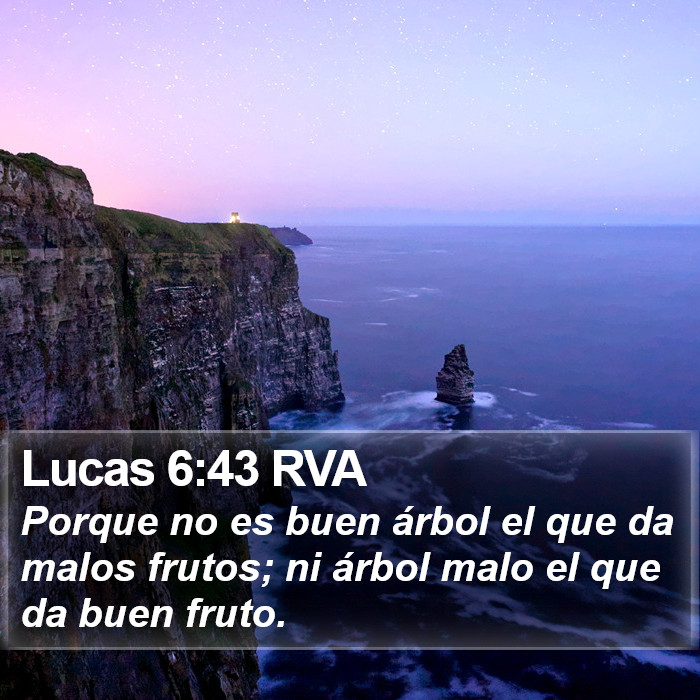 Lucas 6:43 RVA Bible Study