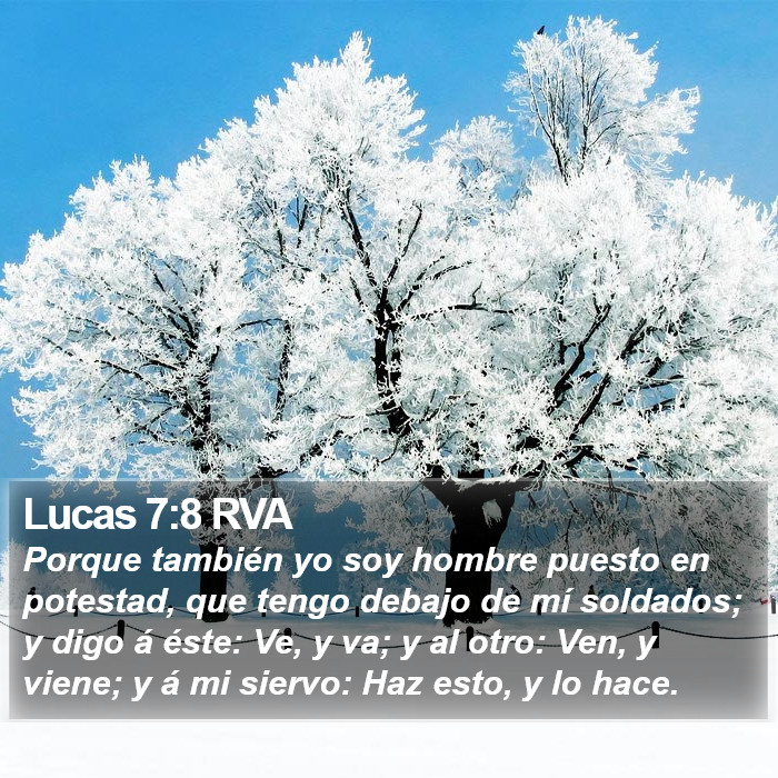 Lucas 7:8 RVA Bible Study