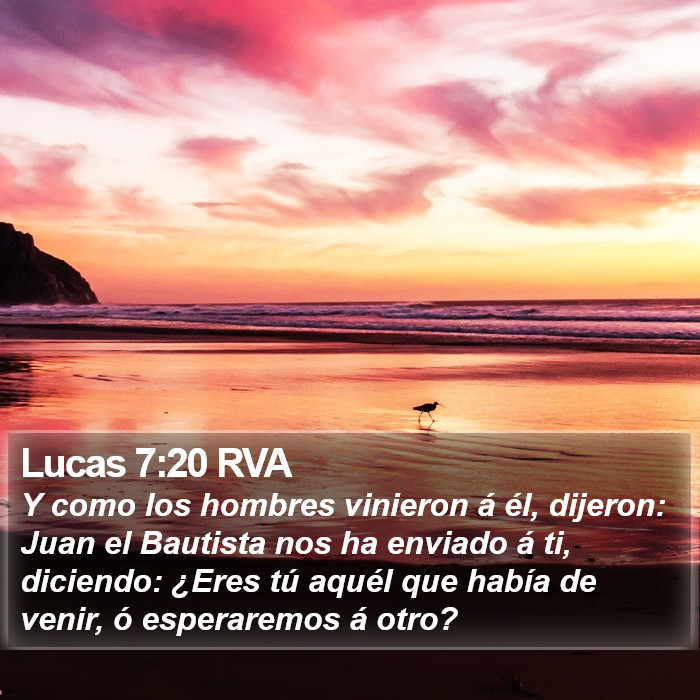 Lucas 7:20 RVA Bible Study