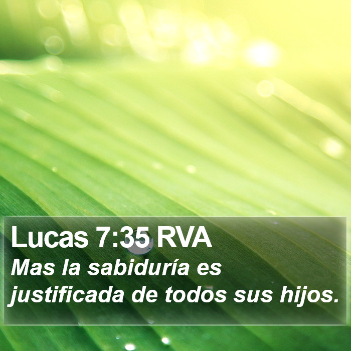 Lucas 7:35 RVA Bible Study