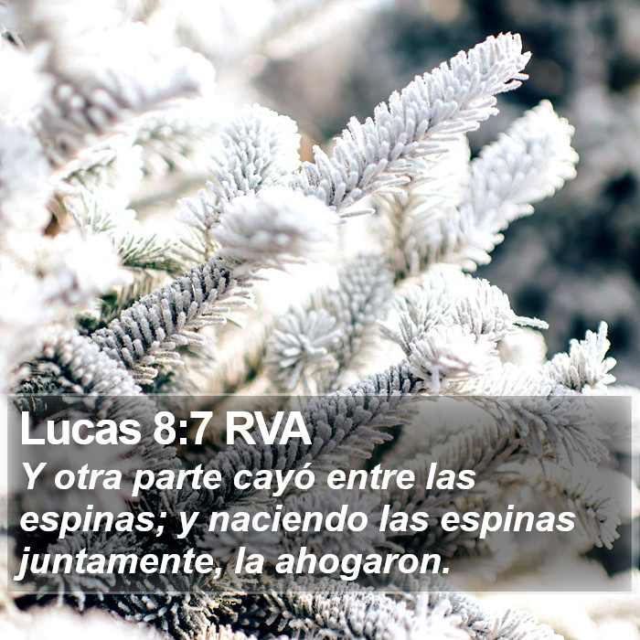 Lucas 8:7 RVA Bible Study