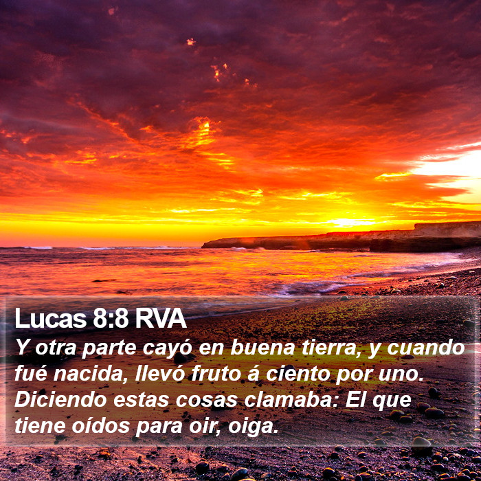 Lucas 8:8 RVA Bible Study