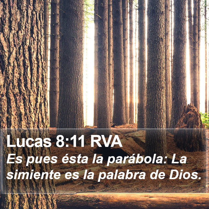 Lucas 8:11 RVA Bible Study