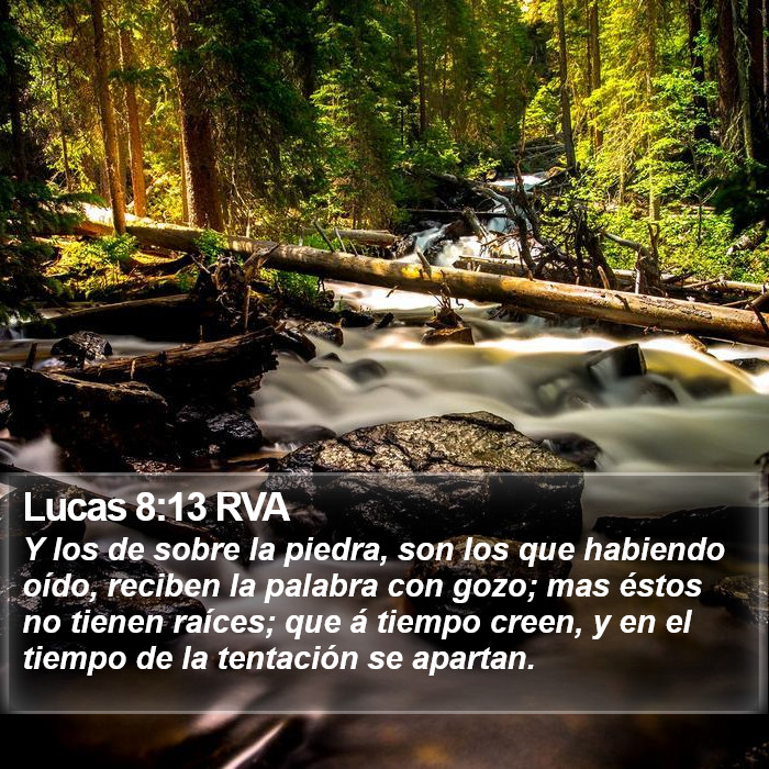 Lucas 8:13 RVA Bible Study