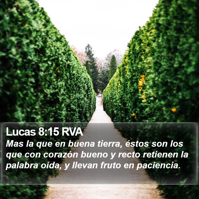 Lucas 8:15 RVA Bible Study