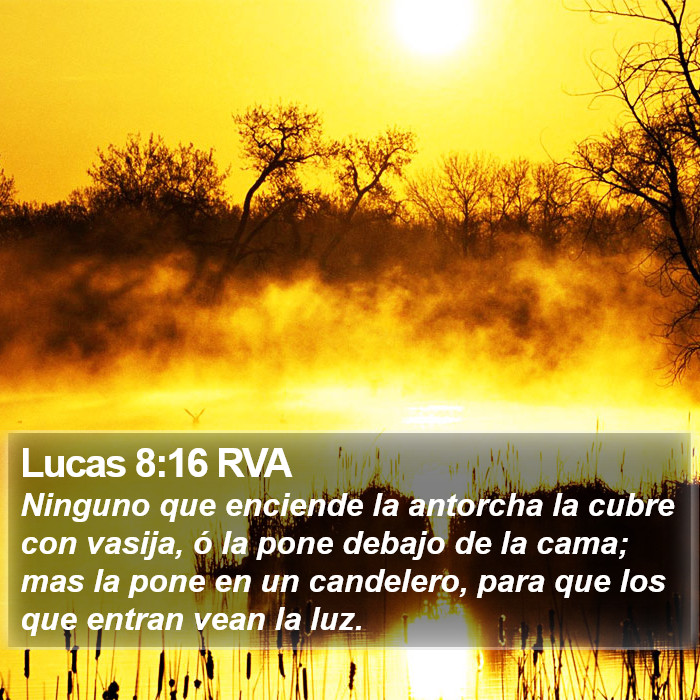 Lucas 8:16 RVA Bible Study