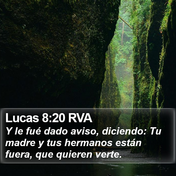 Lucas 8:20 RVA Bible Study