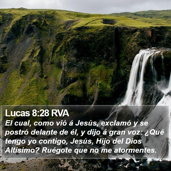 Lucas 8:28 RVA Bible Study