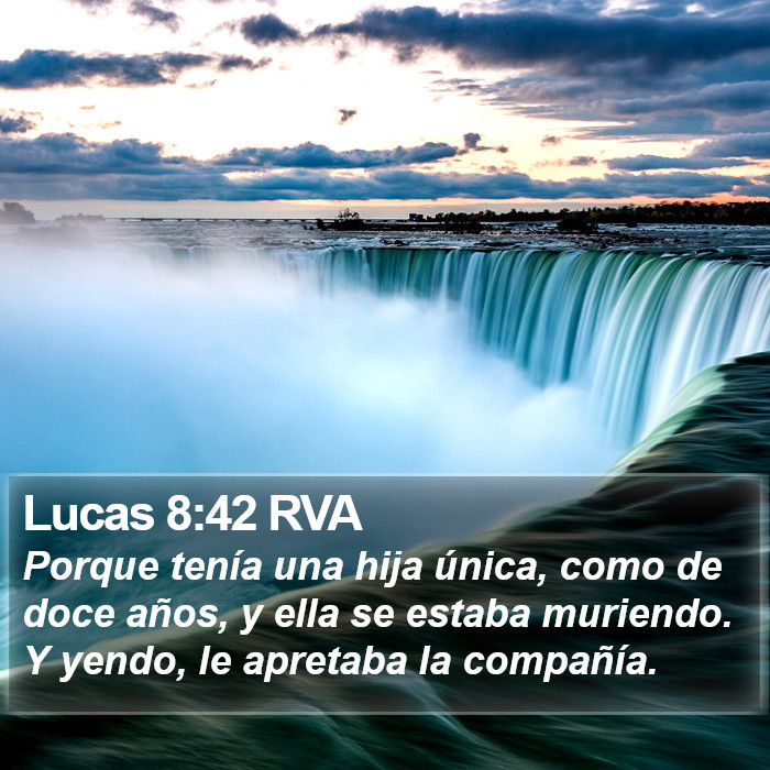 Lucas 8:42 RVA Bible Study