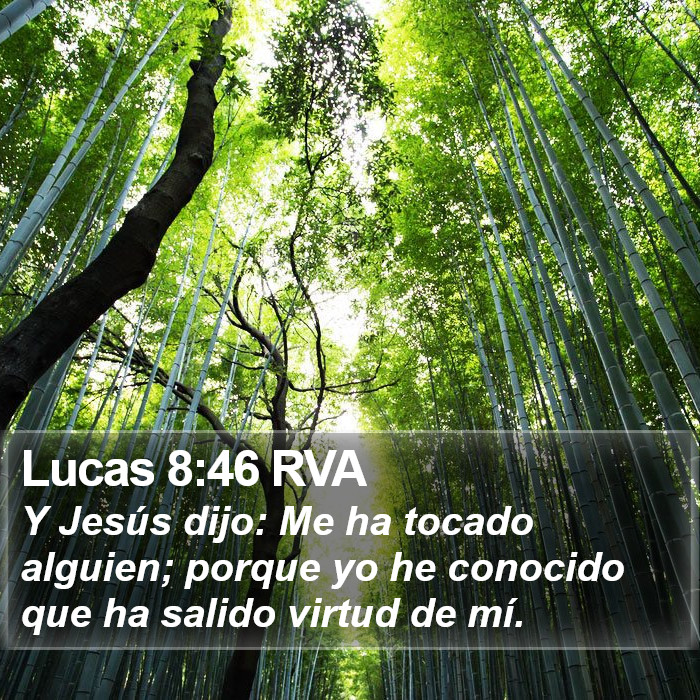 Lucas 8:46 RVA Bible Study