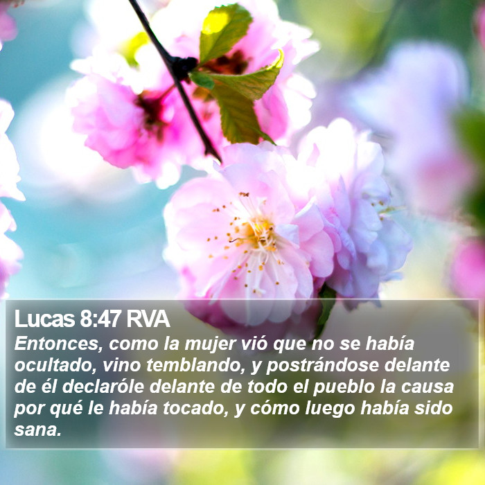 Lucas 8:47 RVA Bible Study