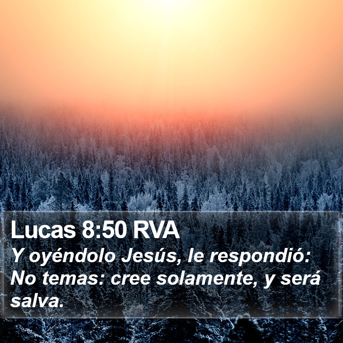 Lucas 8:50 RVA Bible Study