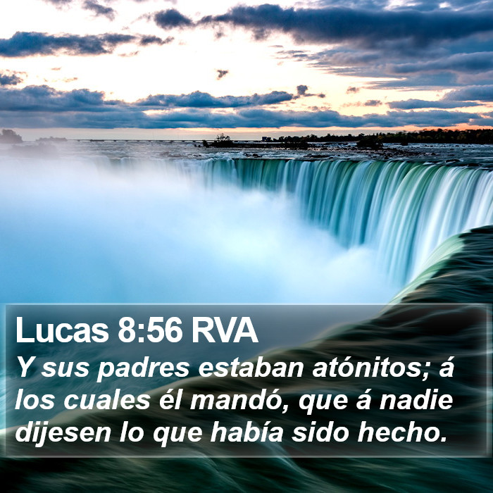 Lucas 8:56 RVA Bible Study