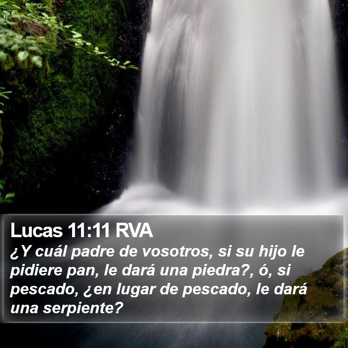 Lucas 11:11 RVA Bible Study