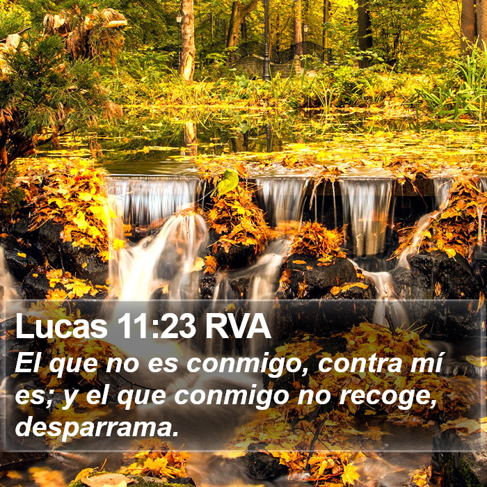 Lucas 11:23 RVA Bible Study