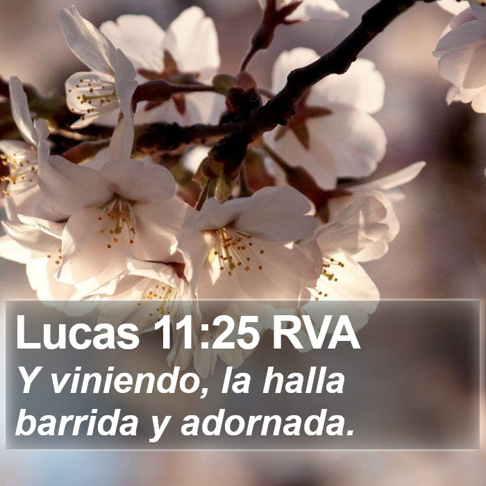 Lucas 11:25 RVA Bible Study