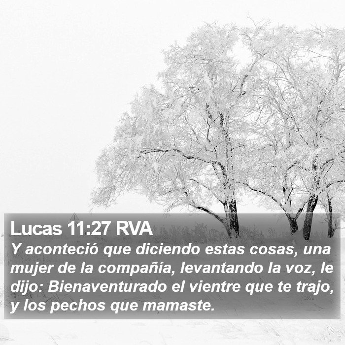 Lucas 11:27 RVA Bible Study