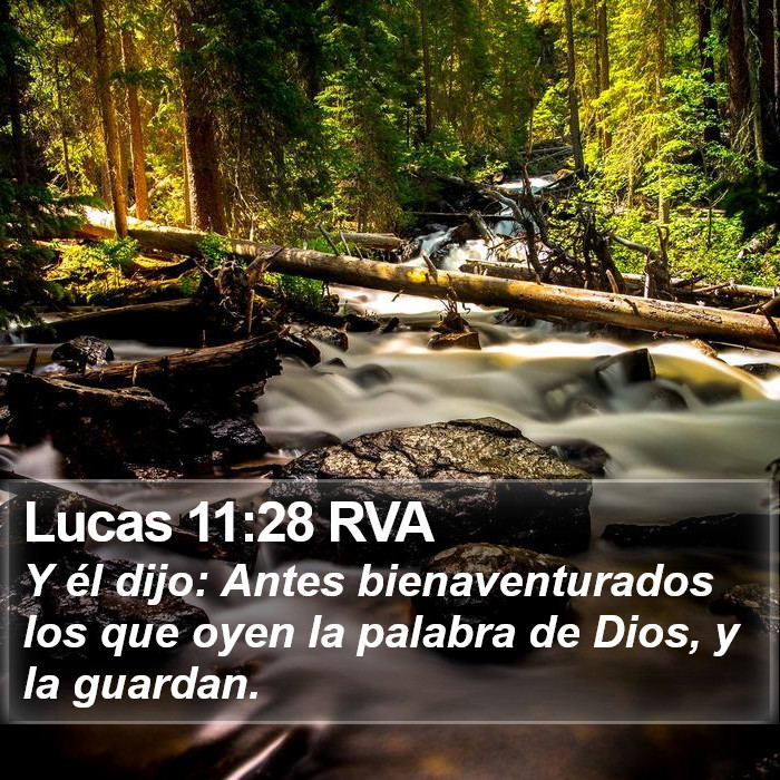 Lucas 11:28 RVA Bible Study