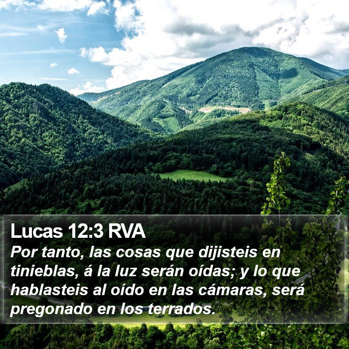 Lucas 12:3 RVA Bible Study