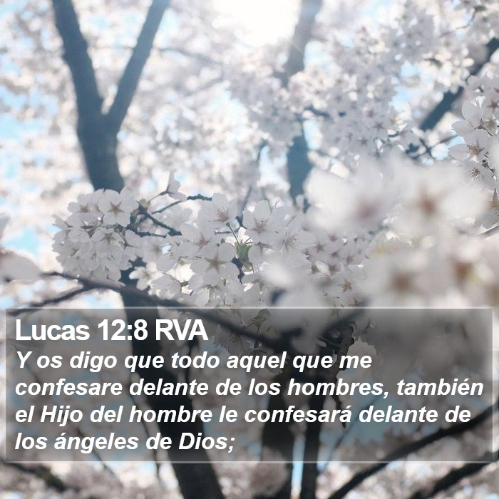 Lucas 12:8 RVA Bible Study